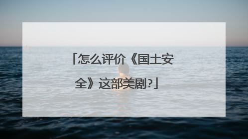 怎么评价《国土安全》这部美剧?