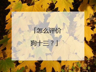 怎么评价狗十三?