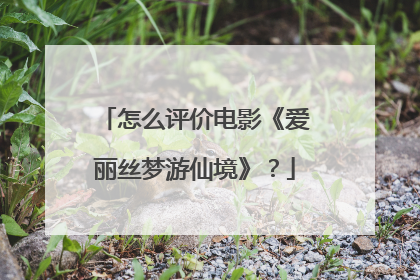 怎么评价电影《爱丽丝梦游仙境》?