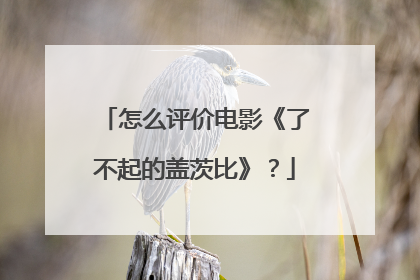 怎么评价电影《了不起的盖茨比》？