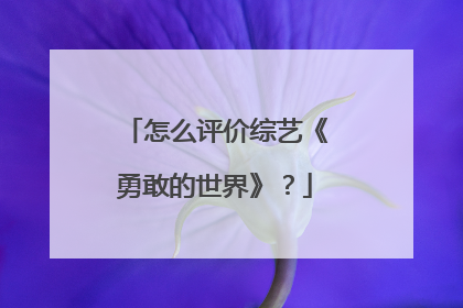 怎么评价综艺《勇敢的世界》？