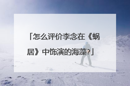 怎么评价李念在《蜗居》中饰演的海藻?