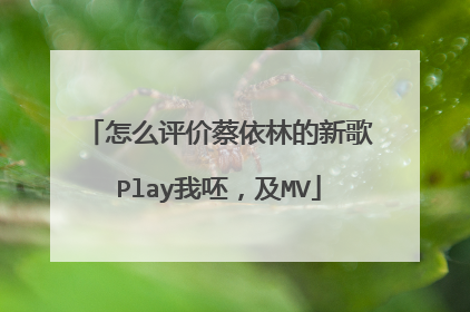怎么评价蔡依林的新歌Play我呸,及MV