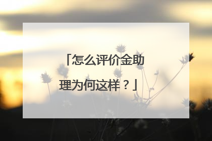 怎么评价金助理为何这样?