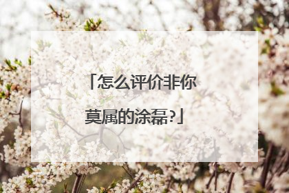 怎么评价非你莫属的涂磊?