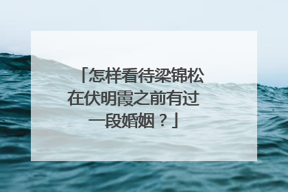 怎样看待梁锦松在伏明霞之前有过一段婚姻？