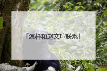 怎样和赵文瑄联系