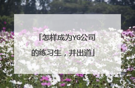 怎样成为YG公司的练习生,并出道