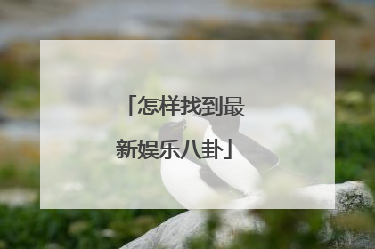 怎样找到最新娱乐八卦