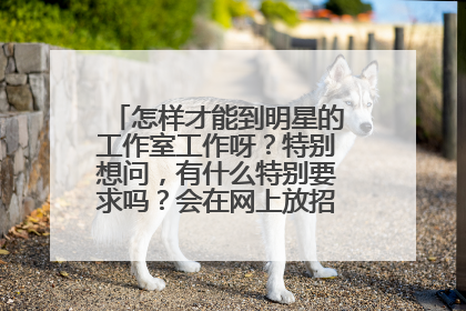 怎样才能到明星的工作室工作呀?特别想问,有什么特别要求吗?会在网上放招聘信息吗?