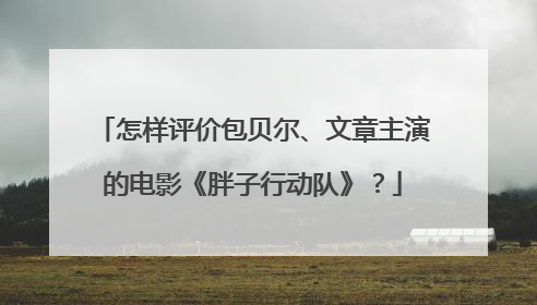 怎样评价包贝尔、文章主演的电影《胖子行动队》?