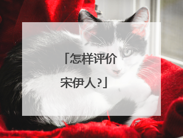 怎样评价宋伊人?