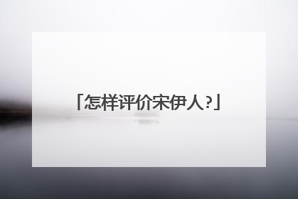 怎样评价宋伊人?