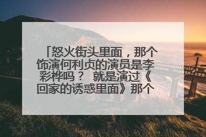 怒火街头里面,那个饰演何利贞的演员是李彩桦吗? 就是演过《回家的诱惑里面》那个艾利的女演员!