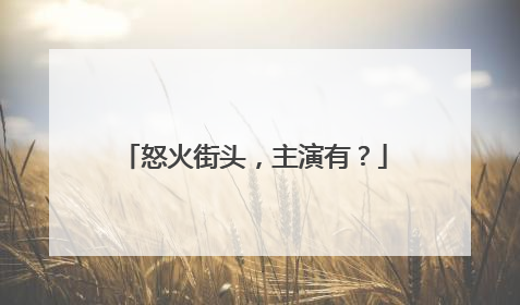 怒火街头，主演有？