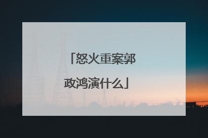 怒火重案郭政鸿演什么
