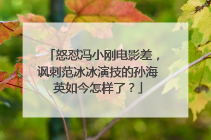 怒怼冯小刚电影差，讽刺范冰冰演技的孙海英如今怎样了？