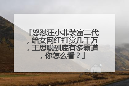 怒怼汪小菲装富二代，给女网红打赏几千万，王思聪到底有多霸道，你怎么看？