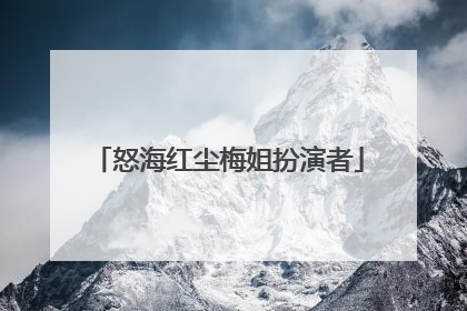 怒海红尘梅姐扮演者
