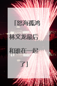 怒海孤鸿林文龙最后和谁在一起了