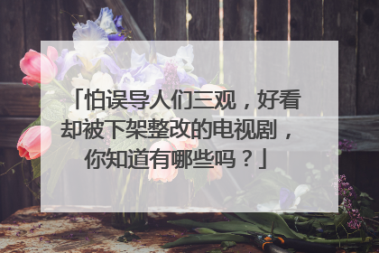 怕误导人们三观，好看却被下架整改的电视剧，你知道有哪些吗？