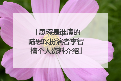 思琛是谁演的 陆思琛扮演者李智楠个人资料介绍