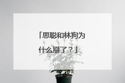 思聪和林狗为什么掰了？
