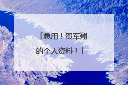 急用！贺军翔的个人资料！