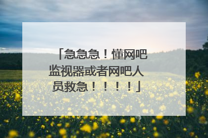 急急急!懂网吧监视器或者网吧人员救急!!!!