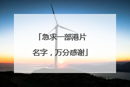 急求一部港片 名字，万分感谢