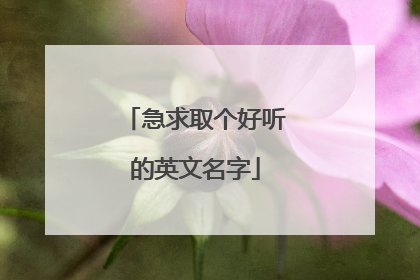 急求取个好听的英文名字