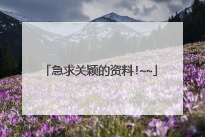 急求关颖的资料!~~