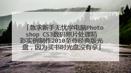 急求新手无忧学电脑Photoshop CS3数码照片处理精彩实例制作2010至尊经典版光盘，因为买书时光盘没有拿