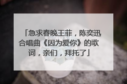 急求春晚王菲，陈奕迅合唱曲《因为爱你》的歌词，亲们，拜托了