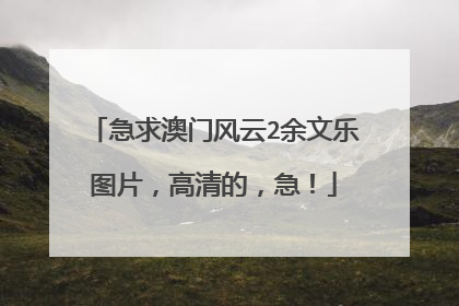 急求澳门风云2余文乐图片，高清的，急！
