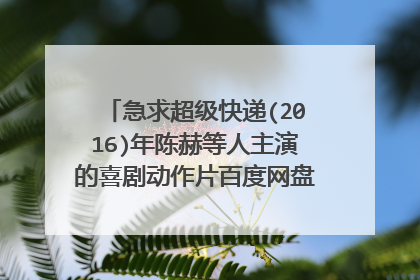 急求超级快递(2016)年陈赫等人主演的喜剧动作片百度网盘高清视频在线观看