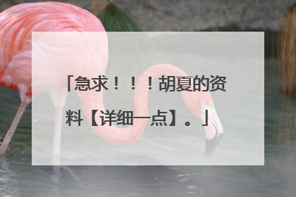 急求！！！胡夏的资料【详细一点】。