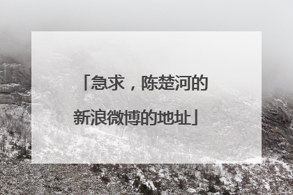 急求，陈楚河的新浪微博的地址