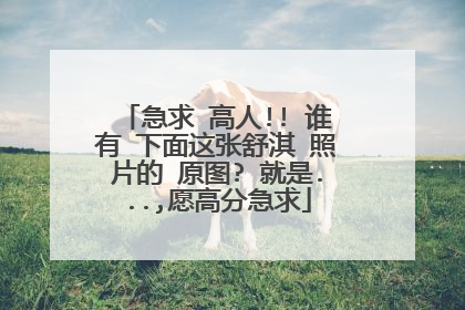 急求 高人!! 谁有 下面这张舒淇 照片的 原图? 就是...,愿高分急求