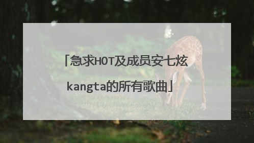 急求HOT及成员安七炫kangta的所有歌曲