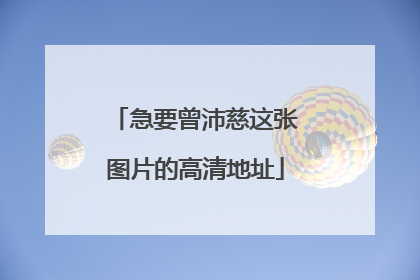 急要曾沛慈这张图片的高清地址