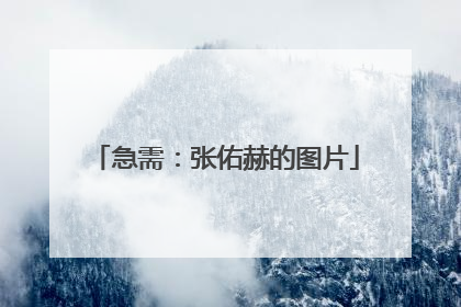 急需：张佑赫的图片