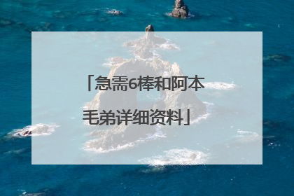 急需6棒和阿本毛弟详细资料