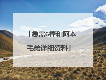 急需6棒和阿本毛弟详细资料