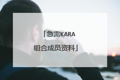 急需KARA组合成员资料