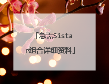 急需Sistar组合详细资料