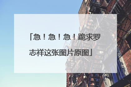 急！急！急！跪求罗志祥这张图片原图