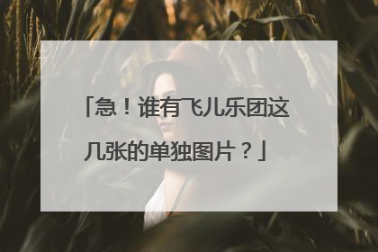 急！谁有飞儿乐团这几张的单独图片？