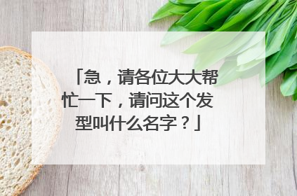 急,请各位大大帮忙一下,请问这个发型叫什么名字?