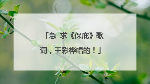 急 求《保庇》歌词，王彩桦唱的！